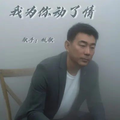 我为你动了情封面