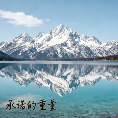 掌心逆转的时间封面