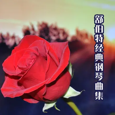 舒伯特小夜曲封面