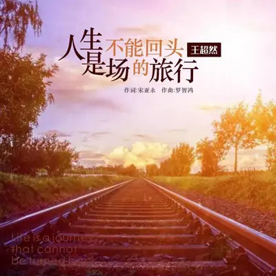 人生是场不能回头的旅行（DJ永强版）封面
