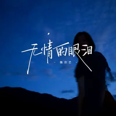 无情的眼泪（DJ鬼鬼于航版）封面