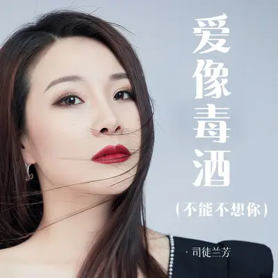爱像毒酒（不能不想你）封面