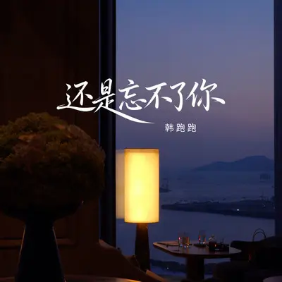 还是忘不了你（男声版）封面