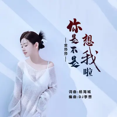 你是不是想我啦封面