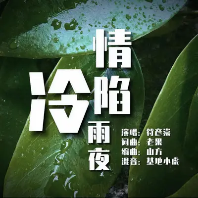 情陷冷雨夜封面