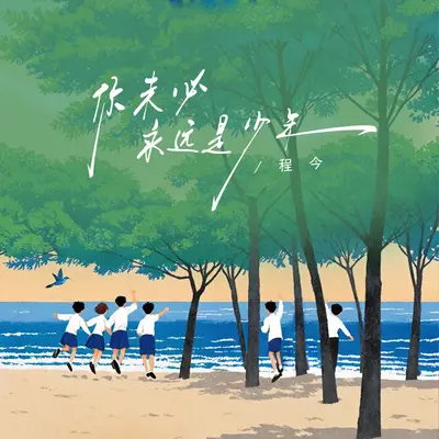 你未必永远是少年封面