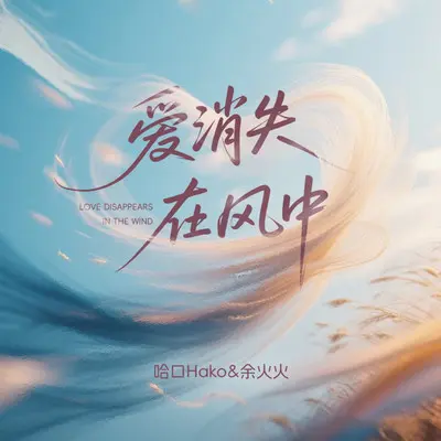 爱消失在风中（DJ-lucky小阳版）封面