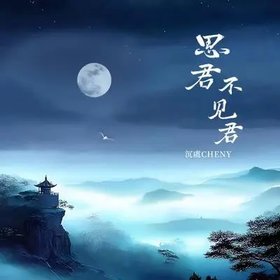 思君不见君 (伴奏)封面