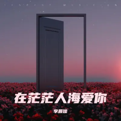 在茫茫人海爱你封面
