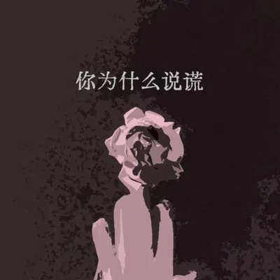 你为什么说谎封面