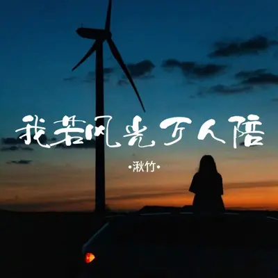 我若风光万人陪(DJ阿尼版)封面