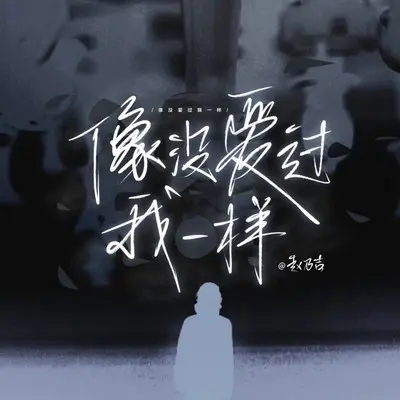 像没爱过我一样 - 赵乃吉封面