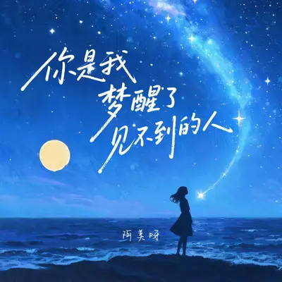 你是我梦醒了见不到的人(DJ阿尼版)封面