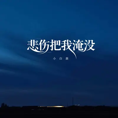 我也牵过你的手（烟嗓女版）封面