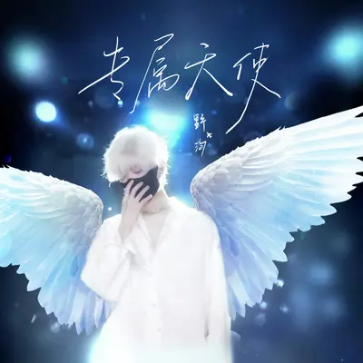 专属天使（野洵版）封面