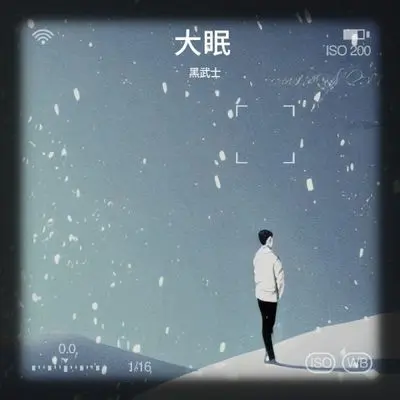 大眠 (不关他的事)封面