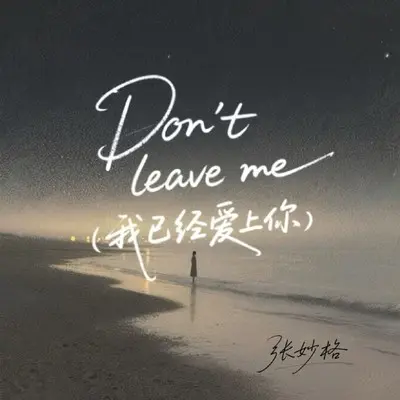 Don't leave me （我已经爱上你）1.1X版封面