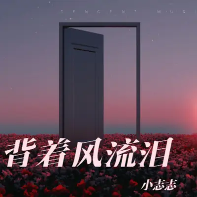 背着风流泪封面