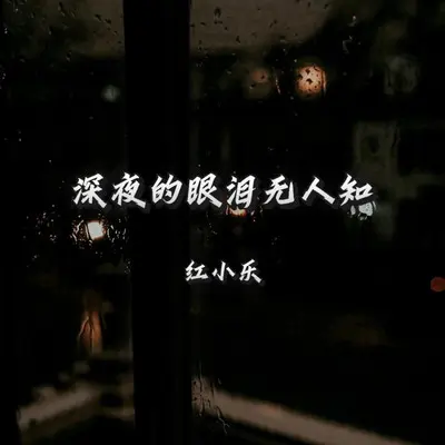深夜的眼泪无人知 (女版DJ)封面
