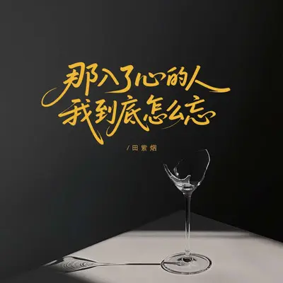 那入了心的人我到底怎么忘（烟嗓版）封面