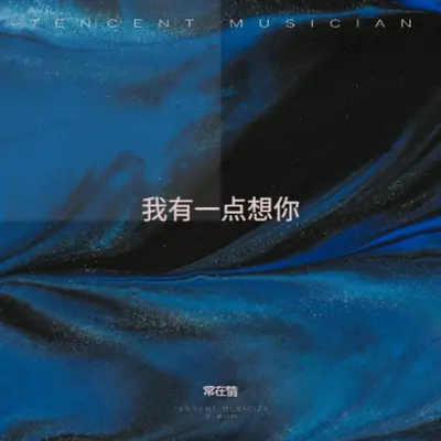 一辈子的惦记封面