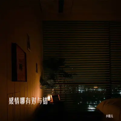 感情哪有对与错封面