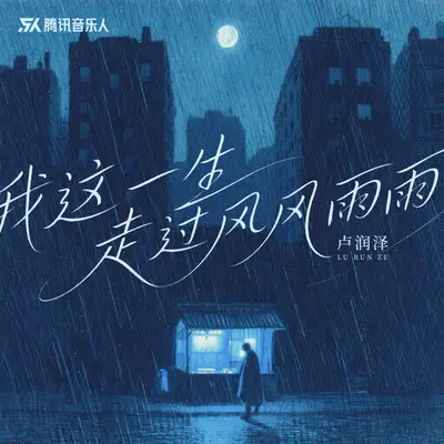 我这一生走过风风雨雨封面