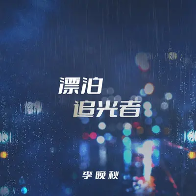 漂泊追光者封面
