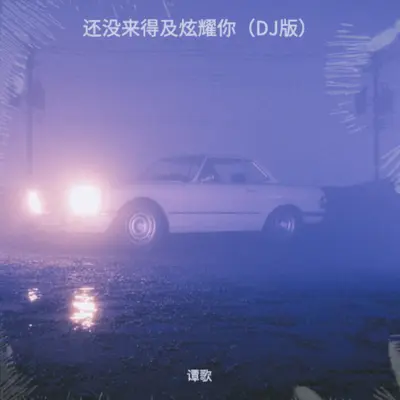 还没来得及炫耀你（DJ版）封面