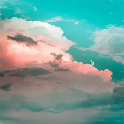 你与盛夏（纯享版）封面