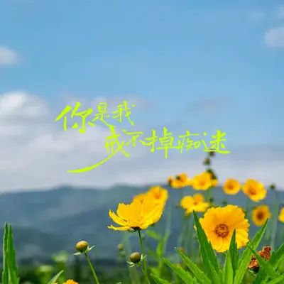 你是我戒不掉的痴迷封面