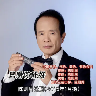 只愿你能好封面