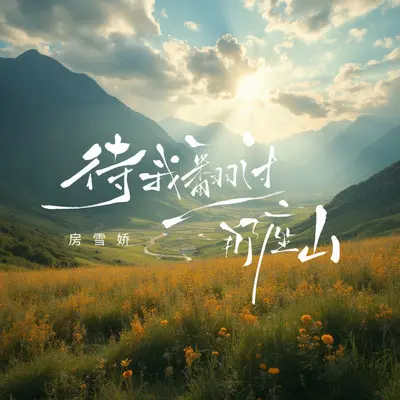 待我翻过那座山封面