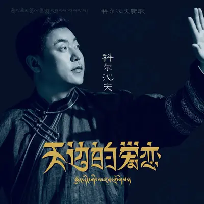 天边的爱恋(DJ光波版)封面