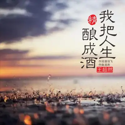 我把人生酿成酒（DJ光年版）封面