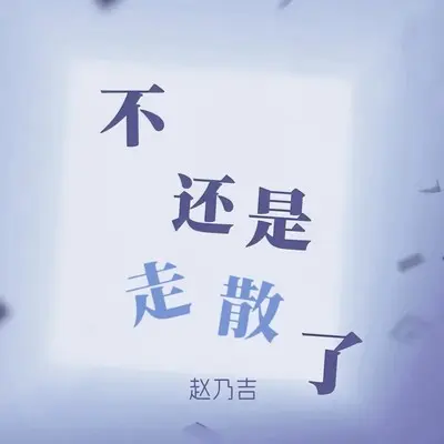 不还是走散了 (DJ-lucky小阳版)封面