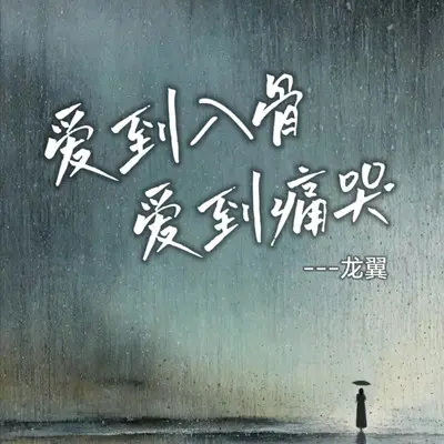 爱到入骨爱到痛哭封面
