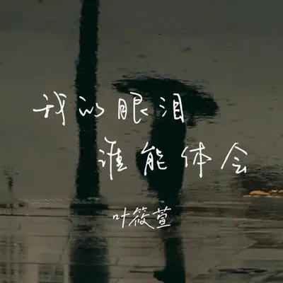 我的眼泪谁能体会（DJ版）封面