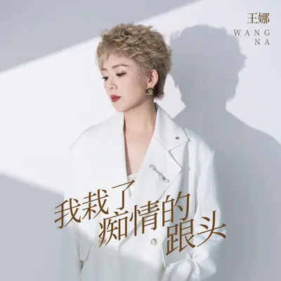 我栽了痴情的跟头封面