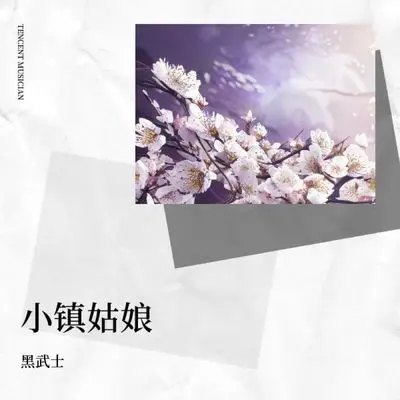 小镇姑娘 (不明白不明白) - 天气先生封面