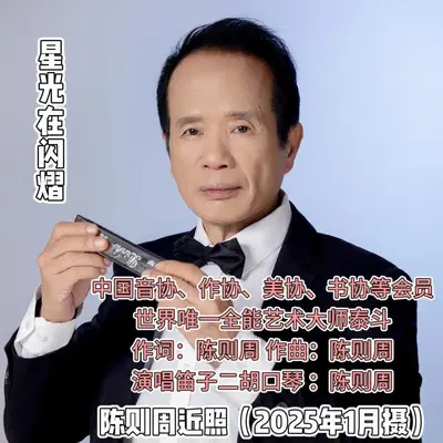 星光在闪熠封面
