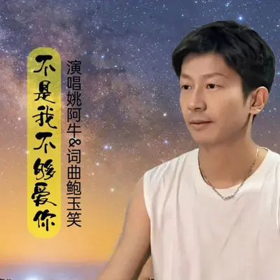 不是我不够爱你 - 姚阿牛封面