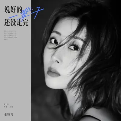 说好的一辈子还没走完 - 金钰儿封面