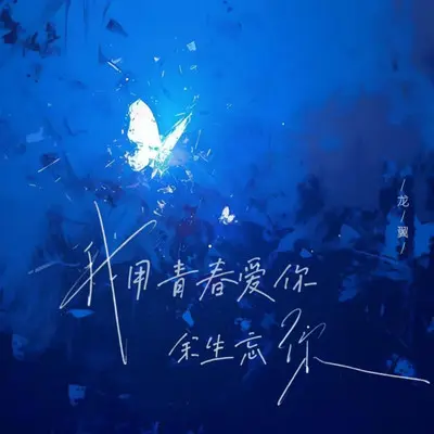 我用青春爱你余生忘你（合唱版）封面