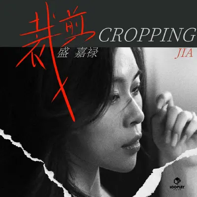 裁剪（DJ先森版）封面