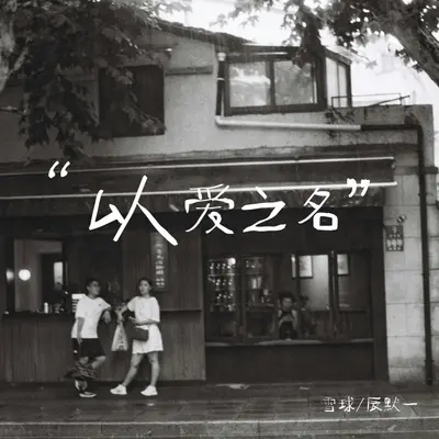 以爱之名封面