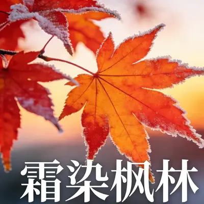 霜染枫林封面