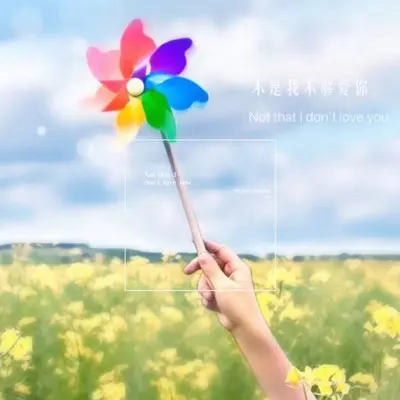 不是我不够爱你封面