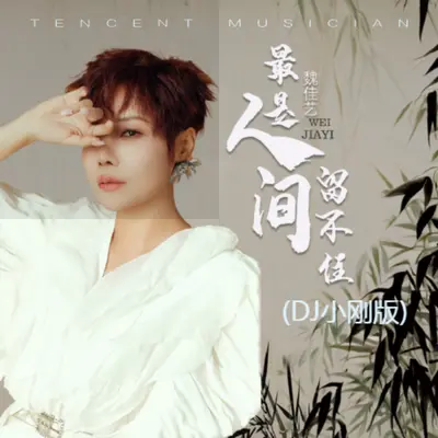 最是人间留不住(DJ小刚版)封面