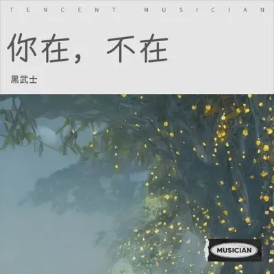你在，不在 (几百天来的热烈 一个寒流就瓦解)封面